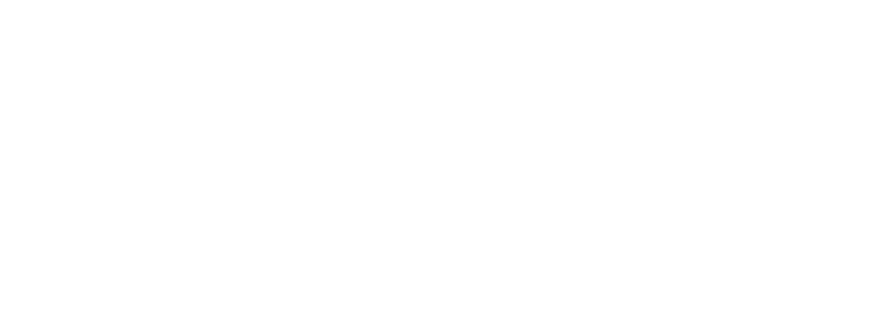 Vision Homes TN LLC
